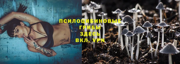 таблы Аркадак